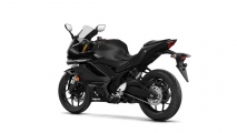 1 2019 Yamaha YZF R3 (20)