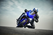 1 2019 Yamaha YZF R3 (5)