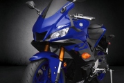 1 2019 Yamaha YZF R3 (6)