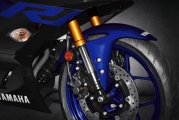 1 2019 Yamaha YZF R3 (9)