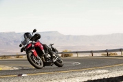 1 2020 Triumph Tiger GT Pro (3)