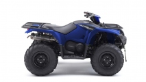 1 2020 Yamaha Kodiak 450 EPS (3)