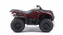 1 2020 Yamaha Kodiak 450 (5)