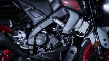 1 2020 Yamaha MT 125  (11)