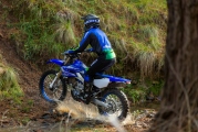 1 2020 Yamaha WR250F (2)