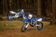 1 2020 Yamaha WR250F (41)