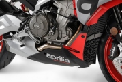 1 2021 Aprilia Tuono 660 (13)