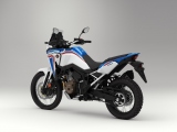 1 2021 Honda CRF1100L Africa Twin (12)