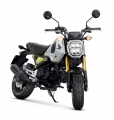 1 2021 Honda MSX125 Grom (6)