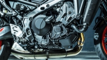 1 2021 Yamaha MT-09 (12)