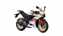 1 2022 Yamaha R125 (11)