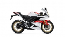 1 2022 Yamaha R125 (12)