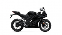 1 2022 Yamaha R125 (5)