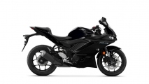 1 2022 Yamaha R320 (6)