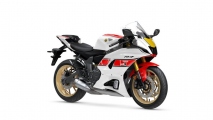 1 2022 Yamaha YZF700 R7 (7)