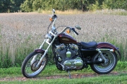 72 Sportster19 72 Sportster15