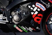 1 Aprilia RS 125 GP Replica (6)
