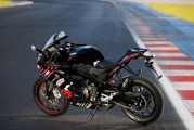 1 Aprilia RS 125 GP Replica (7)
