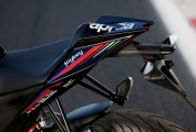 1 Aprilia RS 125 GP Replica (8)