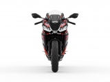 1 Aprilia RS 457 GP Replica (4)