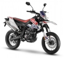 1 Aprilia SX 125 Rally Tribute (2)