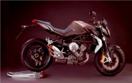 Brutale67509