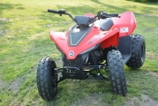 1 CFMOTO Gladiator X110 test (6)