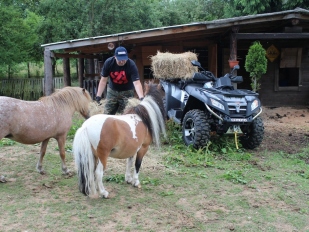 CFMOTO fotosoutěž: Máme rádi zvířata!