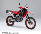 CRF250L2