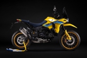 1 Ducati DesertX 100 (15)