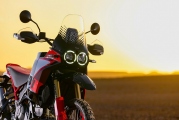 1 Ducati DesertX Rally (10)