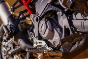1 Ducati DesertX Rally (15)