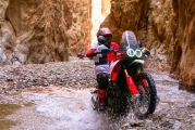 1 Ducati DesertX Rally (23)