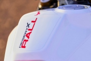1 Ducati DesertX Rally (6)
