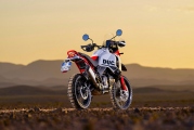 1 Ducati DesertX Rally (9)