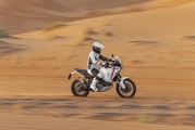 1 Ducati DesertX (21)