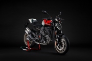 2 Ducati Monster 100 (2)
