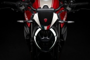 2 Ducati Monster 100 (6)