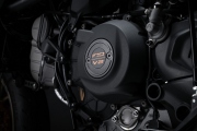 2 Ducati Monster 100 (9)