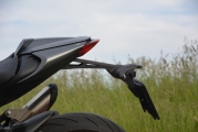 1 Ducati Monster 2021 test (22)
