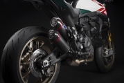1 Ducati Monster 30 Anniversario (13)
