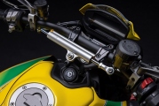 1 Ducati Monster Ayrton Senna (13)