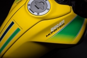 1 Ducati Monster Ayrton Senna (14)