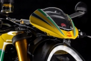 1 Ducati Monster Ayrton Senna (6)