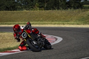 1 Ducati Monster SP (7)