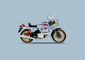2 Ducati Multistrada V4 RS 100 (13)