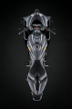 2 Ducati Panigale V4 S 100 (10)