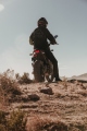 1 Ducati Scrambler Desert Sled 800 FastHouse (18)