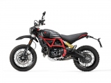 1 Ducati Scrambler Desert Sled 800 FastHouse (26)