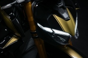 3 Ducati Streetfighter V4 S 100 (11)
